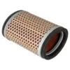 Triumph Air Filter | America / Speedmaster / Thunderbird -GearUp Moto T2202450 TriumphAirFilter America Speedmaster T Bird