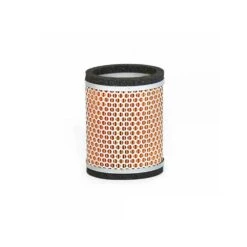 Triumph Air Filter | Thunderbird Variations T2209547
